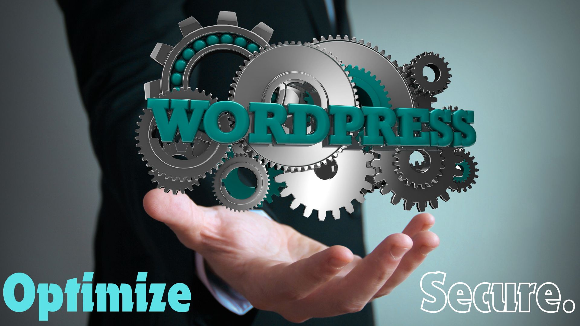 Perfect WordPress Optimization Service